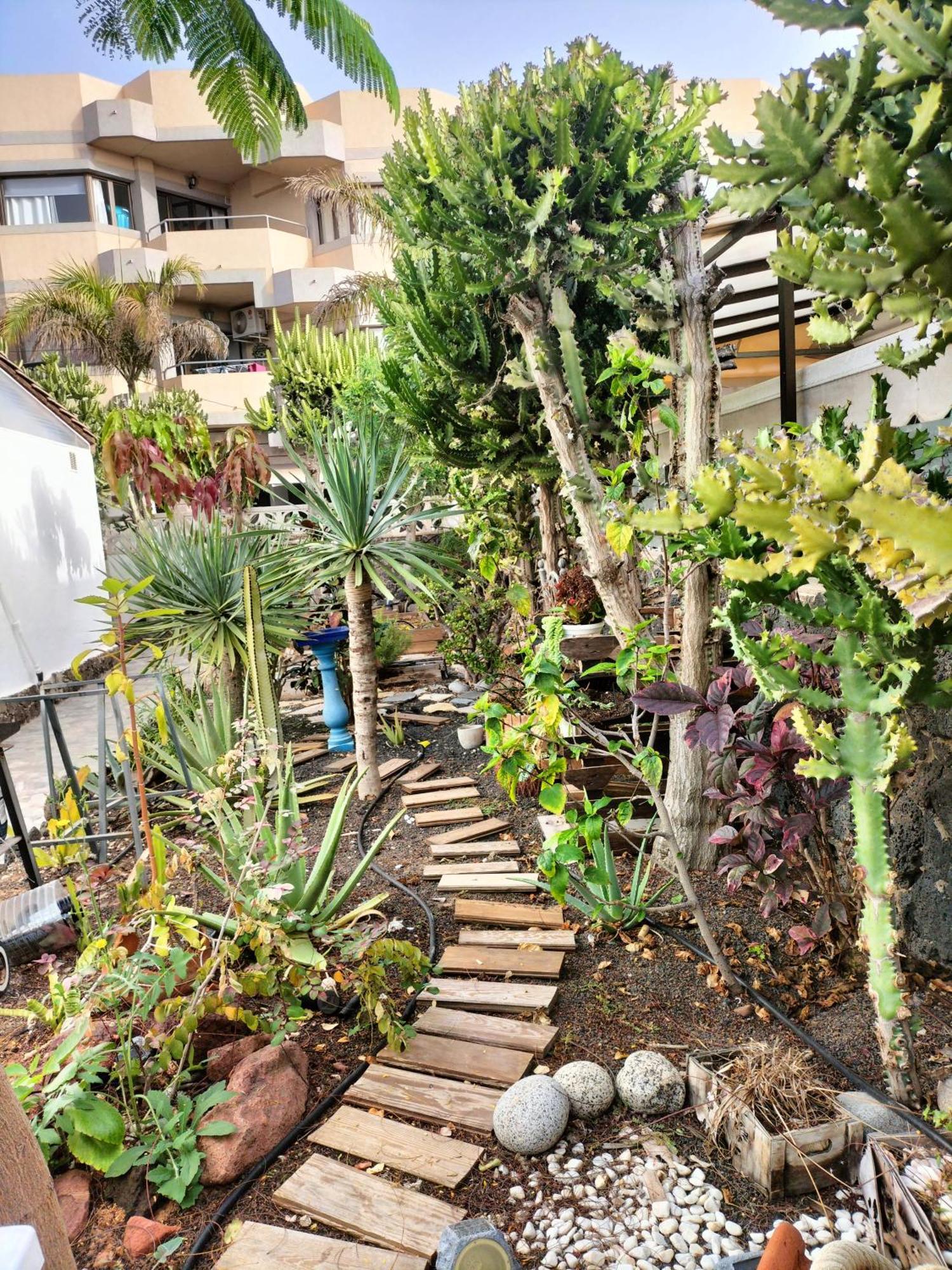 Apartamento Diamar Corralejo Exteriör bild